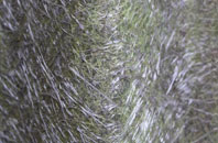 Caynham fibreglass roof work